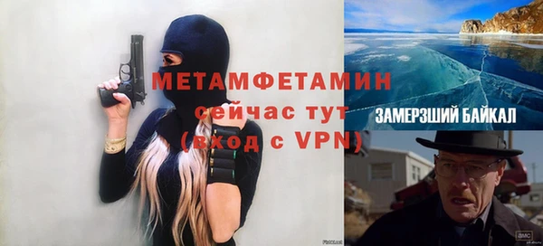дмт Богданович