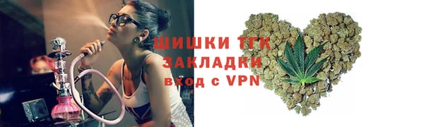 дмт Богданович