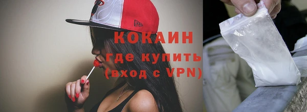 молекула духа Богородицк