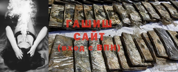 дмт Богданович