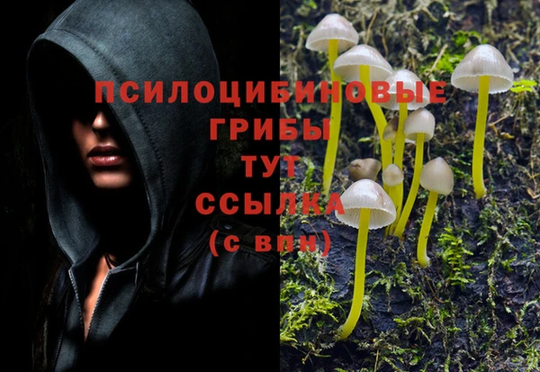спайс Баксан