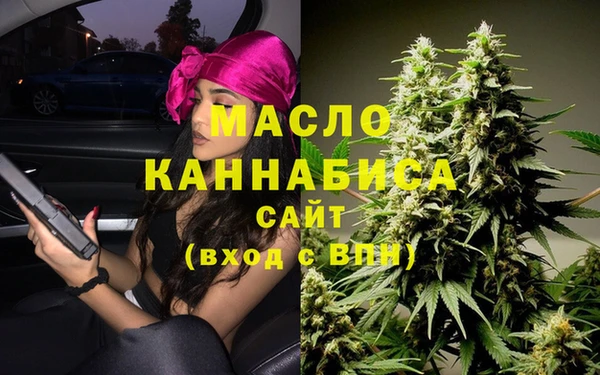 дмт Богданович